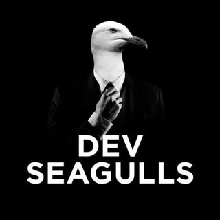 Логотип @dev_seagulls_channel - Dev Seagulls