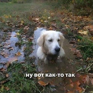 Логотип @devops_hell - Исповедь девоПса