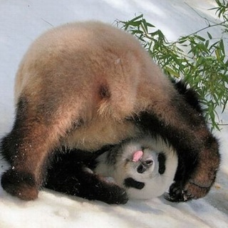 Логотип @devops_vs_common_sense - Здравый смысл в эпоху DevOps и облаков