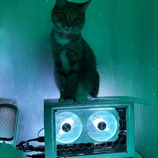 Логотип @dexcomputers - DeX Computers