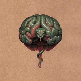 Логотип @dexoticxx - DEXOTIC‘S WORLD