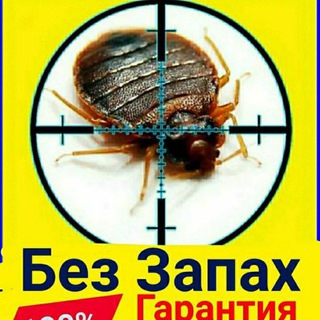 Логотип @dezinfeksiya_dezinfeksiya_dizin - Дезинфексия чирчик