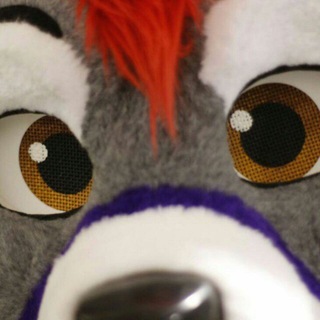 Логотип @dfwfurs - 🌻 DFW Furs PG-13 🌻