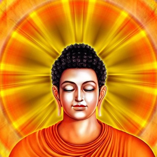 Логотип @dhammadana - Дана