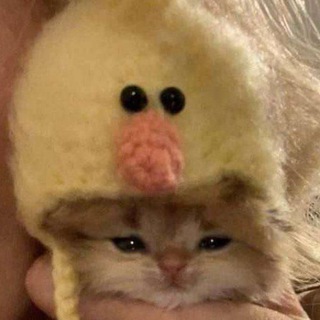 Логотип @dhfggghh - NFT