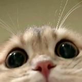 Логотип @dhopperchannel - Д. Хоппер | блог