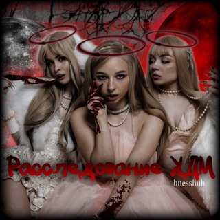 Логотип @di_maslen - Расследование КДМ😎