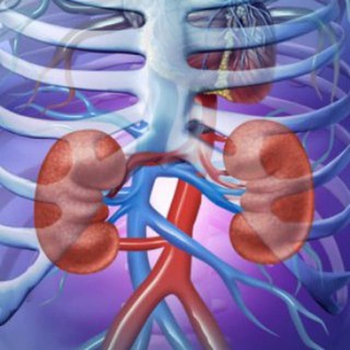 Логотип @dializuz - Гемодиализ.uz