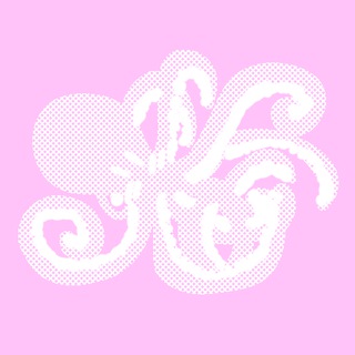 Логотип @dianabuutg - DianaBuu