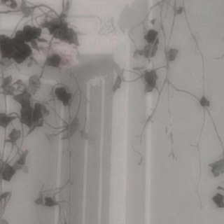 Логотип @dianaww_g - Подарки и звёзды