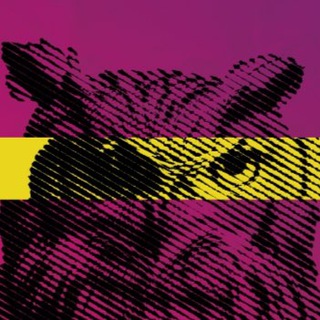 Логотип @dicamp_chat - Цифровой кампус Chat