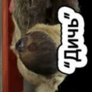 Логотип @dichornot - Дичь и не только