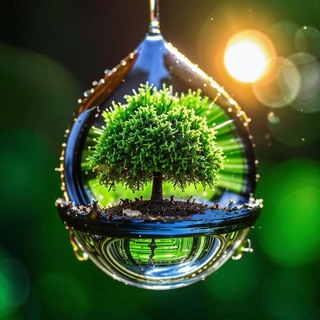 Логотип @dichteres - Дичевые интересности