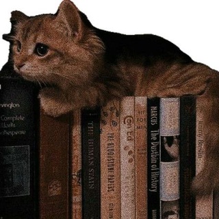 Логотип @didramionechat - 𝐂𝐡𝐚𝐭 🍂