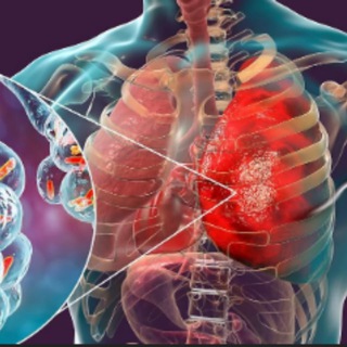 Логотип @die_gesundheit_ist_reichtum - Alles über die Gesundheit