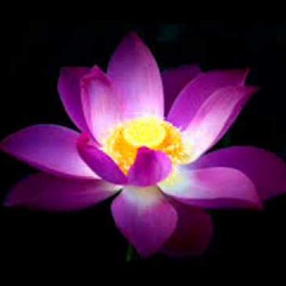 Логотип @dieinnerereise - Die Innere Reise und die Wiedergeburt des Menschlichen Bewusstseins