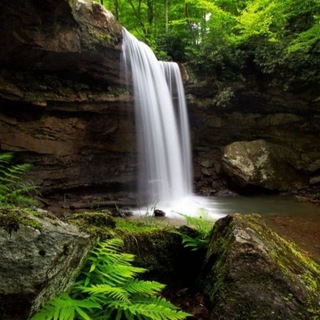 Логотип @diewaldquelle - 💦 Waldquelle💦 Elfenwerk Seelenschmuck