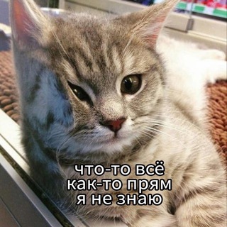 Логотип @difficult_psychologist - Трудный психолог