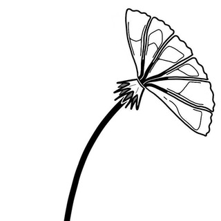 Логотип @diginarium - Diginarium