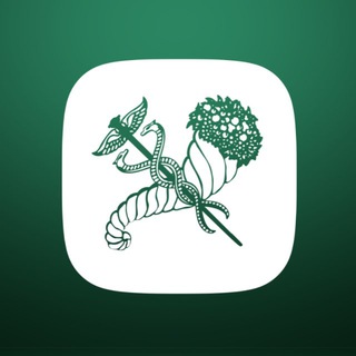 Логотип @digital_kharkiv - DIGITAL KHARKIV