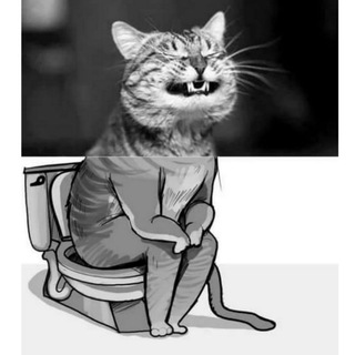 Логотип @digital_shit - Digital_Shit