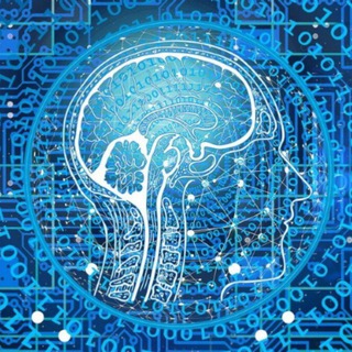 Логотип @digital_southermer - Цифровой южанин