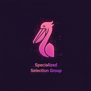 Логотип @digital_sphere_jobs - Specialized Selection Group | Кадровое агенство