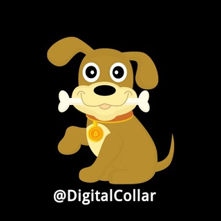 Логотип @digitalcollar - Цифровой Ошейник | Digital Collar
