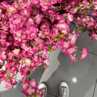 Логотип @diioree - Di 🪷