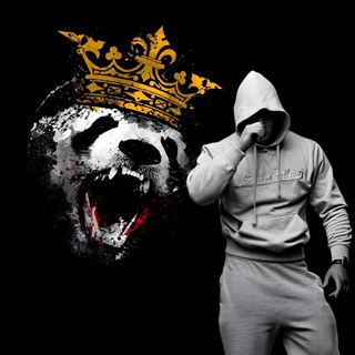 Логотип @dikayakoloda - 𝐃𝐈𝐊𝐀𝐘𝐀🇵🇸𝐊𝐎𝐋𝐎𝐃𝐀