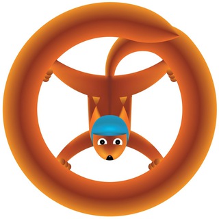 Логотип @dikiebelki - Комплекс парков «Дикие белки»