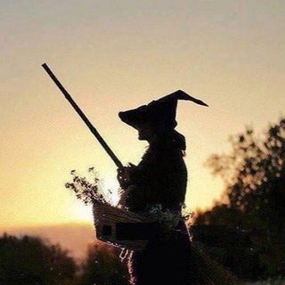 Логотип @dikietravi - 🌿 Дикие Травы 🌿