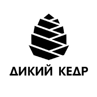 Логотип @dikiykedr - Кедровый напиток ДИКИЙ КЕДР