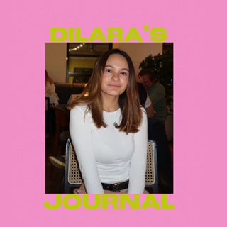 Логотип @dilaro4k - dilara’s journal