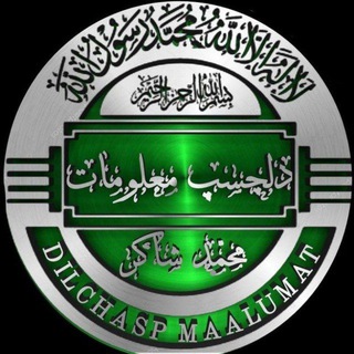 Логотип @dilchaspmaalumatgroup - 🌍دلـچسـپ معـلومات🌍