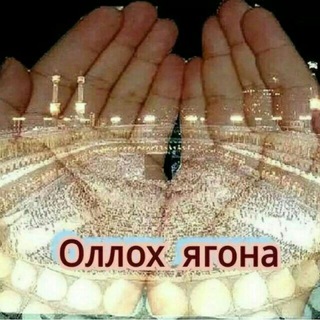 Логотип @dildans - Дилдан сухбат