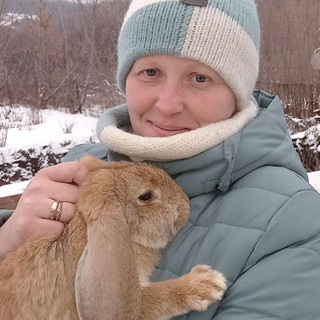 Логотип @diletanti_v_derevne - Diletanty_v_derevne