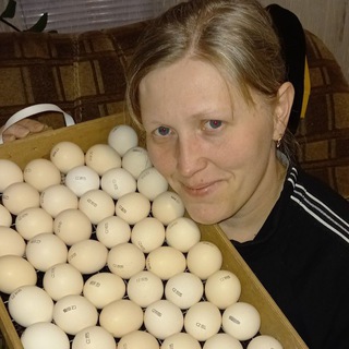 Логотип @diletanty_v_derevne - 🥚🐣Птичий дворик🐤🐔