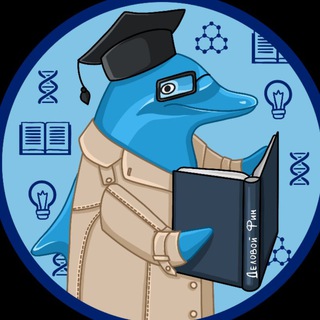 Логотип @diligentfin - Доктор Фин I Психосоматика I Психолог Романова Наталия