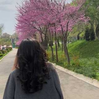 Логотип @dilrabostory - 𝓓𝓲_𝓼𝓽𝓸𝓻𝔂