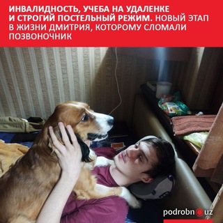 Логотип @dimainiko - Дело Димы Саттарова