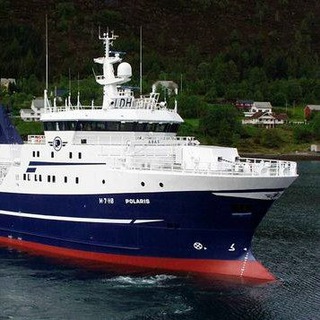 Логотип @dimakholodok - Дмитрий Холод