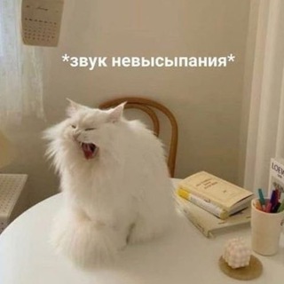Логотип @dimitroovachat - Чат токсиков