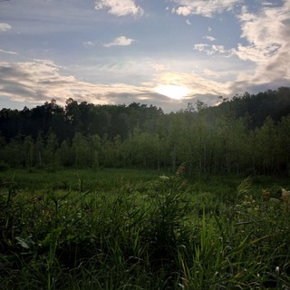 Логотип @dimonlop - | Diʍᴏn |