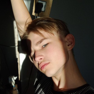 Логотип @dimozavr2 - Димозавр