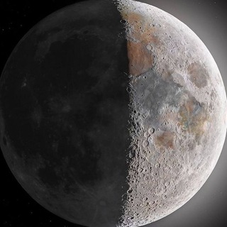 Логотип @dinamikamrana - Динамика мыслей