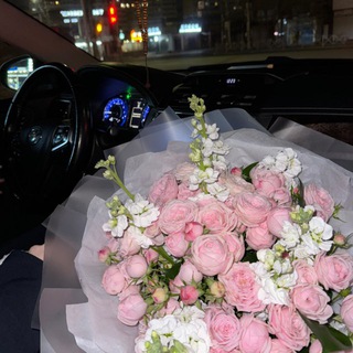 Логотип @dinashkin - dinashkin🔒