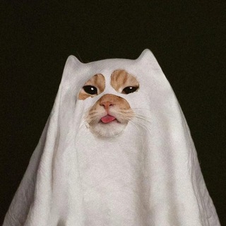 Логотип @dineraw - MEOWO