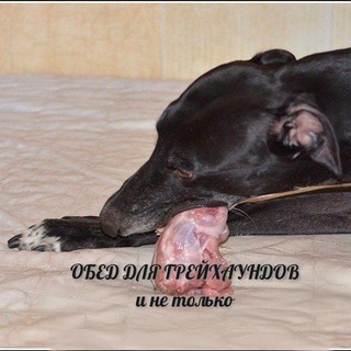 Логотип @dinner4dogs - Обед для грейхаундов и не только