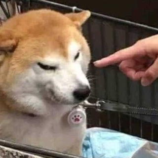 Логотип @dinozavr_nudes - Дино и другие рептилии 🦖